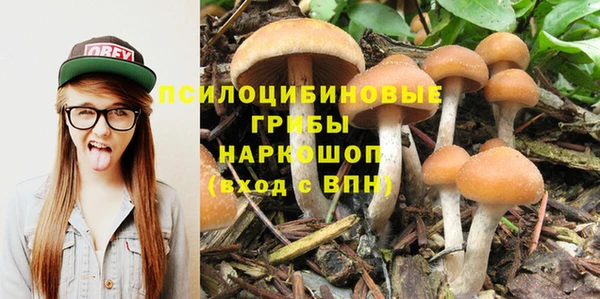 дурь Горно-Алтайск