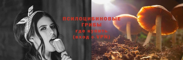 дурь Горно-Алтайск