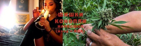 гидропоника Горняк